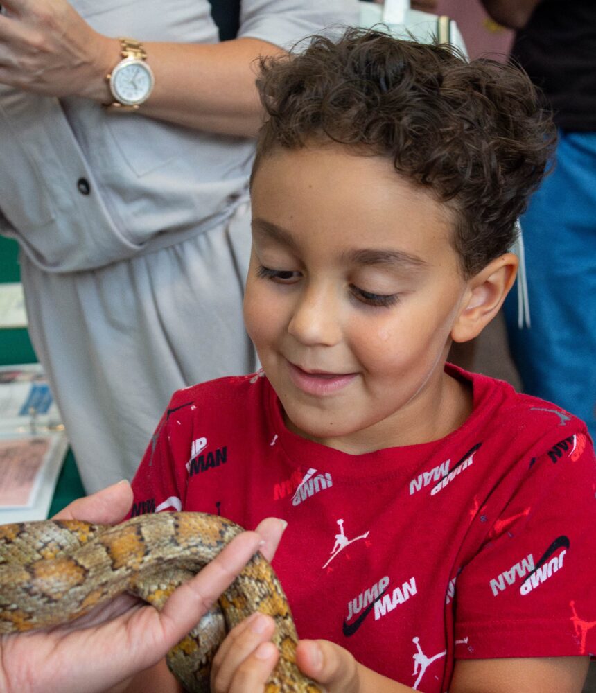 Child holding a snake during Wild Wednesday