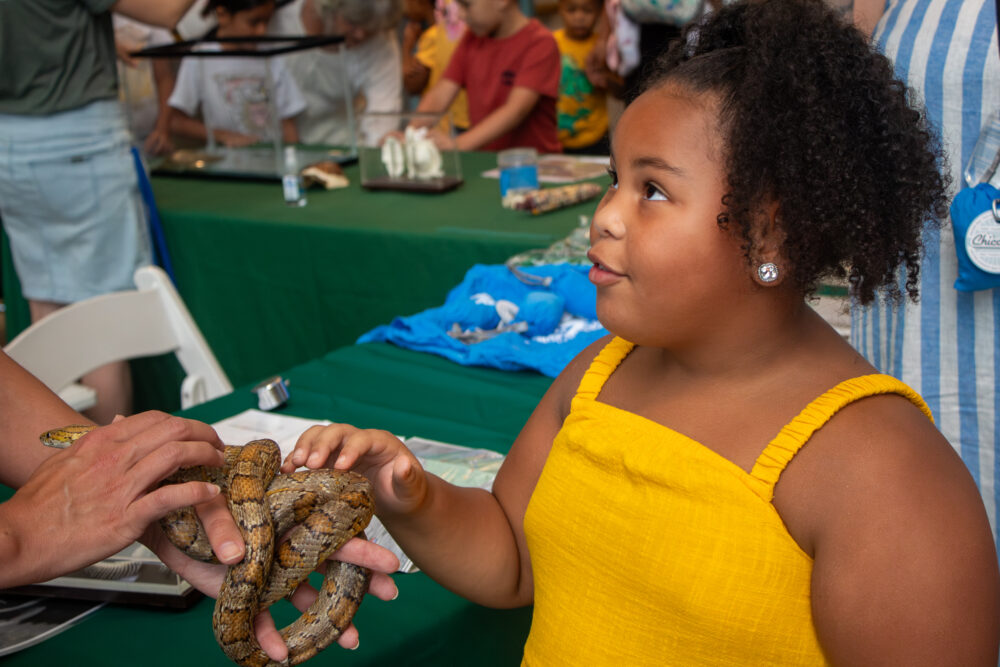 Child in yellow dress with snake